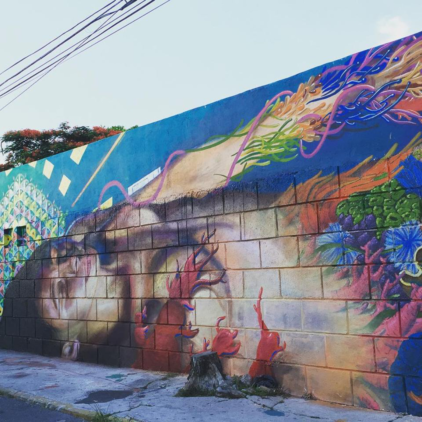 Ixchel, luna, vida, coral, naturaleza, humanidad, armonía